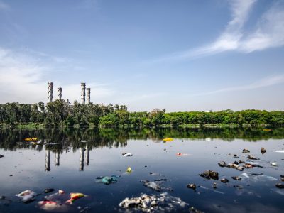 Wpływ odpadów na środowisko